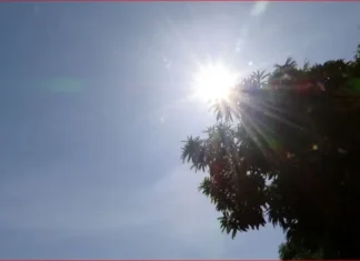 Amazonas registra menor número de focos de calor da história, aponta Inpe