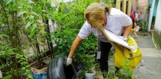 Saúde alerta sobre cuidados com animais peçonhentos em Manaus
