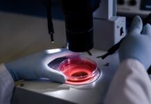 Casos diagnosticados de leucemia no Brasil disparam em 10 anos