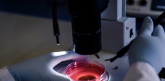 Casos diagnosticados de leucemia no Brasil disparam em 10 anos