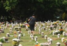 Cães e gatos agora podem ser sepultados em jazigos familiares em SP