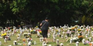 Cães e gatos agora podem ser sepultados em jazigos familiares em SP