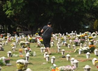 Cães e gatos agora podem ser sepultados em jazigos familiares em SP