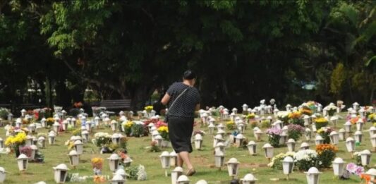 Cães e gatos agora podem ser sepultados em jazigos familiares em SP