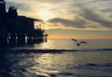 Arábia Saudita intercepta ataques em massa contra infraestrutura de petróleo