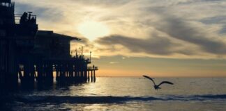 Arábia Saudita intercepta ataques em massa contra infraestrutura de petróleo