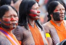 Campanha vai aplicar 89 mil doses de vacinas em territórios indígenas