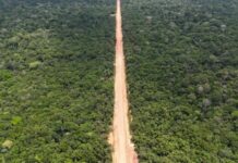 Ibama libera licença para pontes de concreto no Trecho do Meio da BR-319