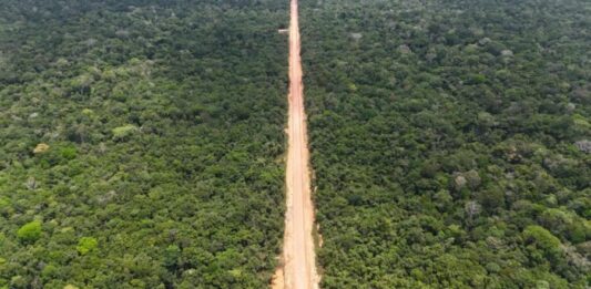 Ibama libera licença para pontes de concreto no Trecho do Meio da BR-319