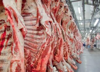 Governo promete reverter veto da UE a carnes e animais brasileiros