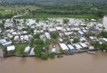 Nove presos fogem de delegacia no interior do Amazonas; um foi recapturado