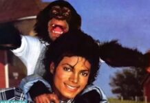 Chimpanzé ‘Bubbles’ de Michael Jackson está vivo e mora nos EUA; saiba mais