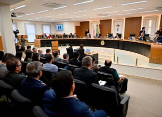 TCE-AM lança selo para reconhecer avanços de municípios na educação