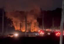 Fogo atinge 300 m² de vegetação às margens da AM-010; VÍDEO