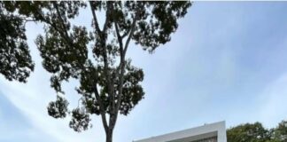 Antiga casa em que Virginia Fonseca morou é colocada à venda em Goiânia