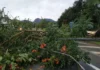 Alerta de tempestade: frente fria amplia instabilidade na Região Sul