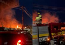 Incêndio em área de recicláveis segue no Distrito 2; bombeiros atendem ocorrência