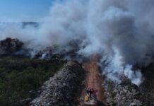 Quatro municípios do AM recebem R$ 13,3 milhões em multas por poluição do ar