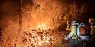 TRE-AM autoriza divulgação de alertas sobre estiagem e queimadas no AM