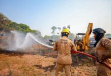 Incêndios aumentam 540% no AM e chegam a mais de 5,4 mil ocorrências