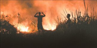 Reunião na Suframa define reforço no combate a incêndios no Amazonas